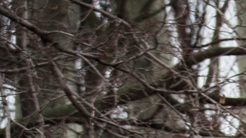 Estados Unidos anuncia otros 1.200 millones de dólares de ayuda militar a Ucrania