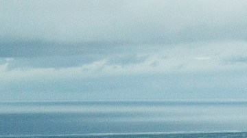 Los humedales forman parte de las fuentes de agua para millones en Estados Unidos.