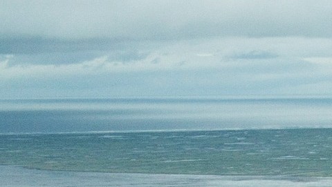 Los humedales forman parte de las fuentes de agua para millones en Estados Unidos.