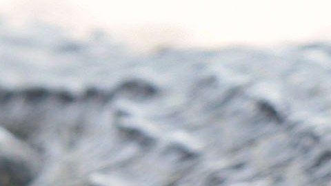 Hombre se va de fiesta y pierde brazo en ataque de caimán luego de salir de bar en Florida