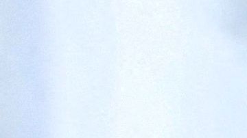 Cuatro miembros de una familia mueren en un tiroteo dentro de una casa móvil en Texas