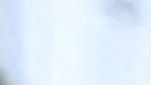 Cuatro miembros de una familia mueren en un tiroteo dentro de una casa móvil en Texas