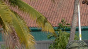 Violencia en México