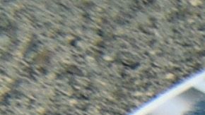 Asesinan a tiros a otro periodista en México, el tercero en el año y el 37 en el gobierno de AMLO