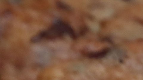 CDC alertan de brote de salmonela relacionado con masa cruda de galletas; hay 18 casos en 6 estados