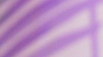 Doyle Brunson en 2006.