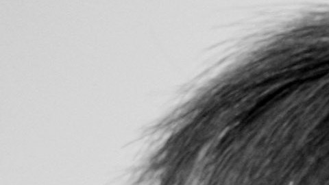 Tina Turner fue recibida con emoción por un público latino cuando asistió 'Siempre en Domingo'.