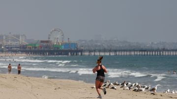 PACIFIC PALISADES, CA - MAY 22: A woman jogs at Will Rogers State Beach, which is polluted by run-off from a nearby storm drain and creek, toward the Santa Monica pier on May 22, 2009 in Pacific Palisades, California. According to the annual report on the beaches with the poorest dry weather water quality, released this week by Heal the Bay¸ a clean-water group based in Santa Monica, California, six of the ten most polluted beach areas in California are in Los Angeles County. Heal the Bay analyzed water samples for bacterial levels from 502 coastal locations taken from April 2008 through March 2009. The results were similar to last year but likely incomplete, according to the group, because of a drop in testing by several counties that slashed spending in response to the state budget crisis. (Photo by David McNew/Getty Images)