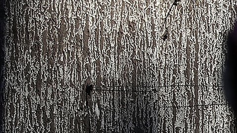 Derrumbe parcial de un edificio de apartamentos en Iowa deja varios heridos