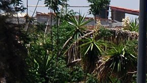 Violencia en Zacatecas