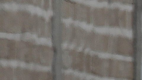 Discusión tras la derrota de Chivas, joven mató a su tío con un cuchillo en México