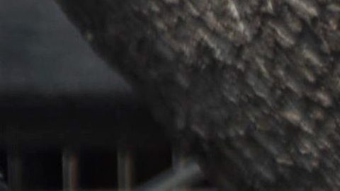 VIDEO: Policías en México tiran canasta de churros a mujer frente a sus hijas y generan indignación