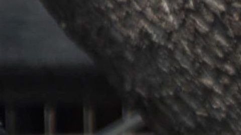 VIDEO: Policías en México tiran canasta de churros a mujer frente a sus hijas y generan indignación