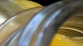 Empleados de la cafetería fermentaron una bebida cítrica utilizando las bacterias en sus propias mano. / Foto: Getty Images