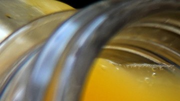 Empleados de la cafetería fermentaron una bebida cítrica utilizando las bacterias en sus propias mano. / Foto: Getty Images