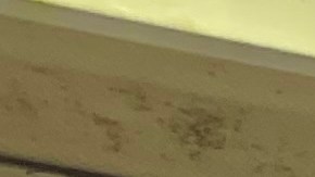 Huevos en Estados Unidos