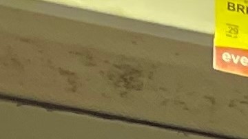 Huevos en Estados Unidos