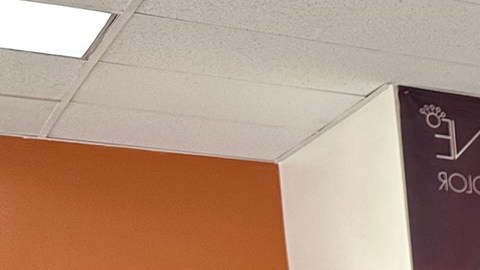 Iván Montero más de 30 años en el mundo de la  belleza. (Araceli Martínez/La Opinión)