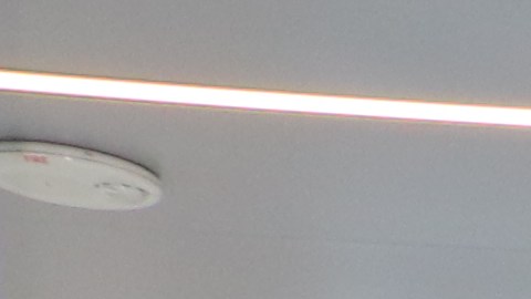 Azafatas y miembros de tripulación en aerolineas abogan por  Ley de Protección contra Pasajeros Abusivos o S.1058.