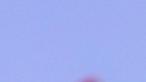 Duilio Davino ganó un título de la Liga MX, dos Copas MX y dos Concachampions como director deportivo de Rayados de Monterrey..