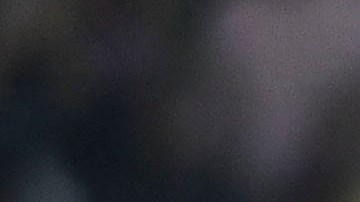 Veljko Paunovic celebra con sus jugadores la victoria sobre América.