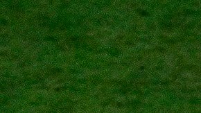 Jugadores de Tigres en festejo con el trofeo de campeón de la Liga MX.