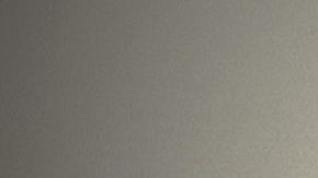 Isabel Allende, escritora chilena, en Holanda en 2010.