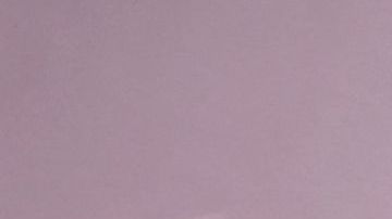 Jake Paul está listo para enfrentar a Nate Díaz.