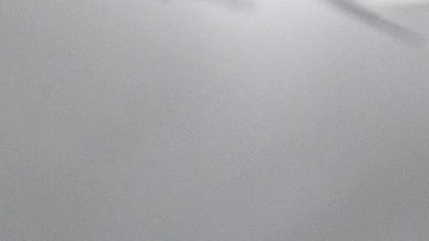 Jennifer Lopez y Alex Rodriguez en los Annual Screen Actors Guild Awards 2019.