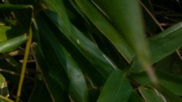 El diseño de las nuevas marquesinas fue criticado por los residentes de Los Ángeles.