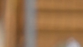 Liván Soto, prospecto venezolano de los Ángeles Angels.