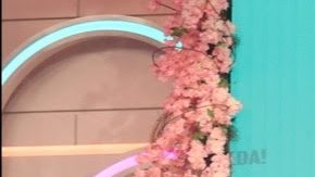 Lyn May y Julián Gil en el programa Siéntese Quien Pueda.