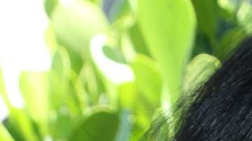 Lyn May ha estado vigente durante más de cinco décadas de trayectoria sobre los escenarios