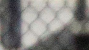 Millonarios FC marcha en la primera posición del campeonato de fútbol colombiano.