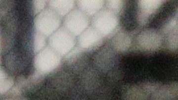 Millonarios FC marcha en la primera posición del campeonato de fútbol colombiano.