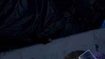 En tan sólo un par de meses, Verónica Taylor tiene ahorrados entre $10,000 y $15,000 dólares producto de la basura