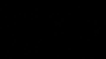 A Nancy Pelosi no le tiembla la voz para reconocer que siente antipatía por Donald Trump