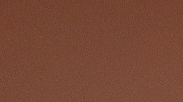 Pablo Repetto, entrenador uruguayo del Santos Laguna.