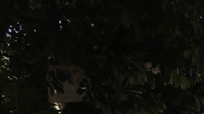 Violencia en México