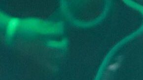 Peso Pluma durante un concierto en Sonora, México.