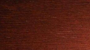 Conoce el Horóscopo Chino para tu signo