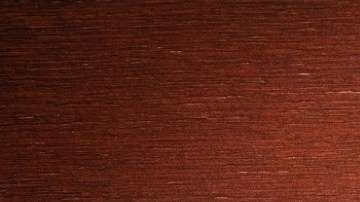 Conoce el Horóscopo Chino para tu signo