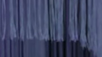 Sandra Ávila Beltrán