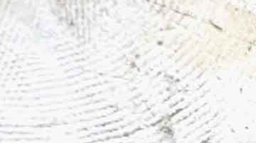 Mustafa Izat fue llevado con engaños a una casa abandonada donde le quitaron la vida