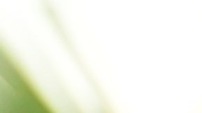 Veljko Paunovic, director técnico , durante el partido de ida del torneo Clausura 2023 de la Liga BBVA MX, entre los Tigres de la UANL y las Chivas.