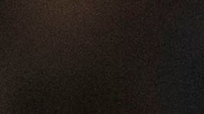 Javier 'Chicharito' Hernández.