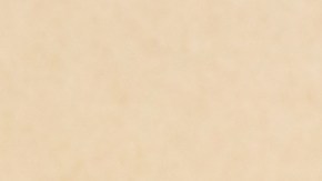 Arnold Schwarzenegger