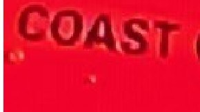 Guardia Costera en Georgia rescata a perrito y dos tripulantes de barco justo antes de hundirse