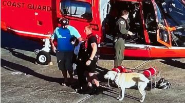 Guardia Costera en Georgia rescata a perrito y dos tripulantes de barco justo antes de hundirse