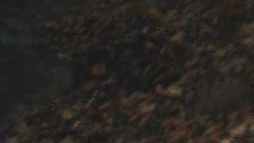 Enrique Bunbury regresa a los escenarios con solo diez shows. Foto: Cortesía